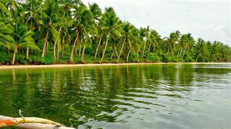 eastern samar|About Eastern Samar .